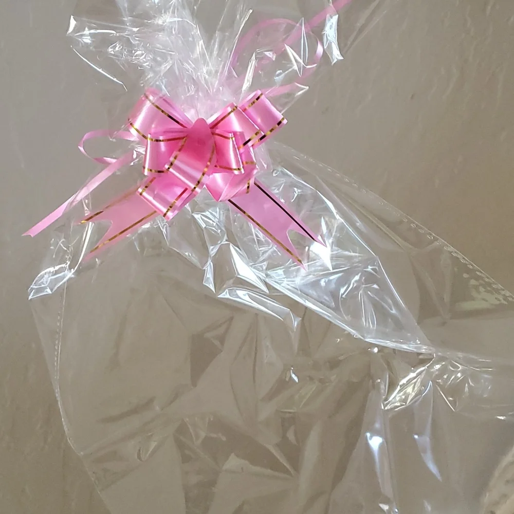 Clear Gift/Storage Bag with pink Ribbon nwot